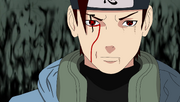 Itari Amaterasu.png