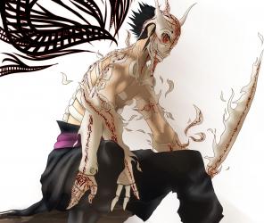 Susanoo armor dwa.jpg