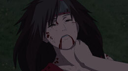 Shiori-injured-gaiton-rescue