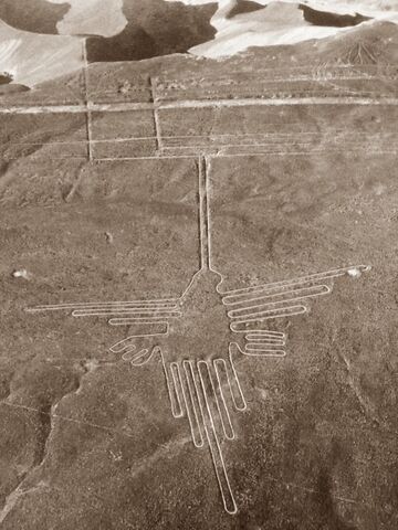 File:Colibri-Nasca.jpg