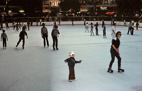 Rink