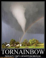 Tornrainbowp11