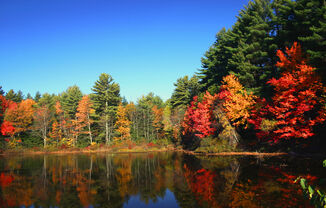 Lake-foliage