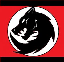 Ishvalan Flag