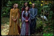 Elves arwen