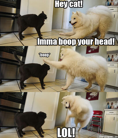 File:Boop.jpg