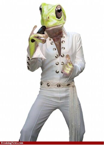 File:Frog man 1.jpg