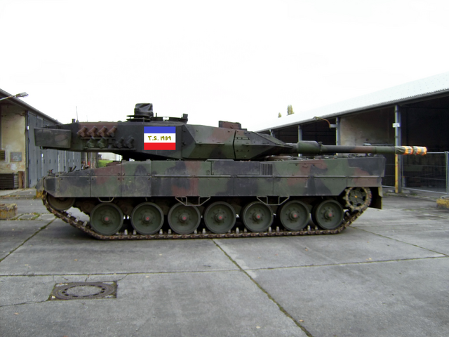 File:Taylorian Leopard.png