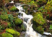 GreatLangleySpring