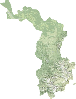 Skako11