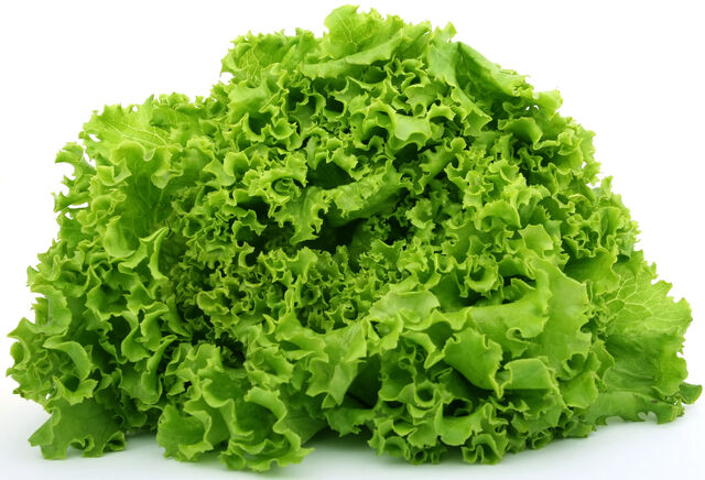 File:Yum.jpg