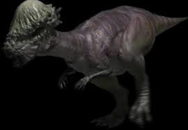Pachycephalosaurus