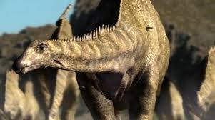 File:Diplodocus2.jpg