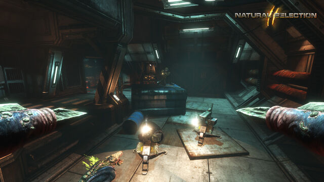 File:Lerkandsentries02.jpg