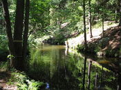 Stream