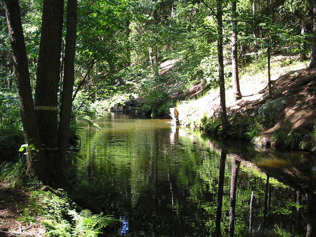 File:Stream.jpg