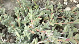 290820131705.jpg