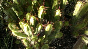 050920131833.jpg