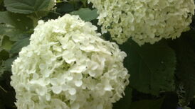 260720131428.jpg