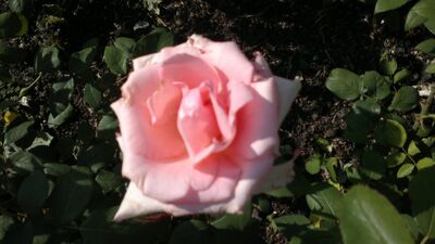 220620131213.jpg