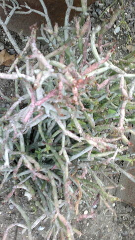 290820131703.jpg