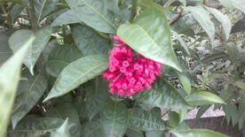290820131668.jpg