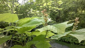 04062013793.jpg