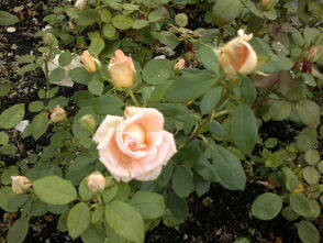 140920131959.jpg