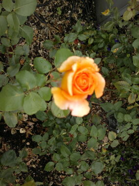 140920131906.jpg