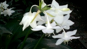 Vlcsnap-2014-01-09-22h37m46s189
