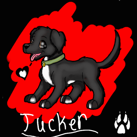 File:Tucker.png