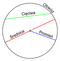 Koło.png
