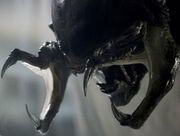 PredAlien3