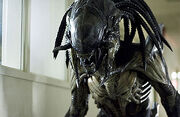 Alienpred460