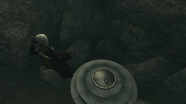 File:Oblivion 2010-12-05 12-29-12-96.jpg