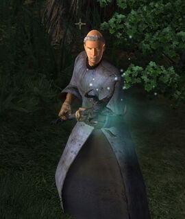 Battlemage of etranor