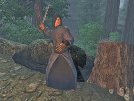 Battlemage of Etronar03