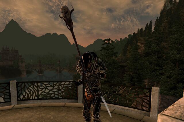 File:BattlemageBlockingStaff.jpg