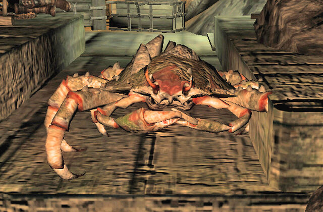 File:Small river crab.jpg