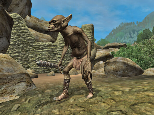 File:Young desert creature.jpg