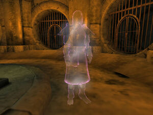 Mage Guard