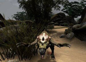 Youngplains2jpg