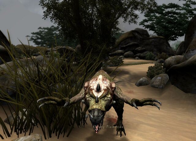 File:Youngplains2jpg.jpg