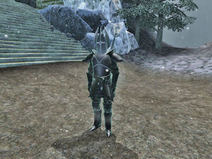 Undead Paladin01