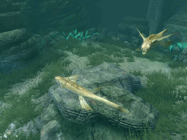 File:Fin Biter.jpg