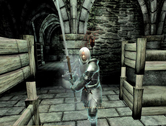 File:Paladin4.jpg