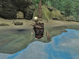 Skeleton04