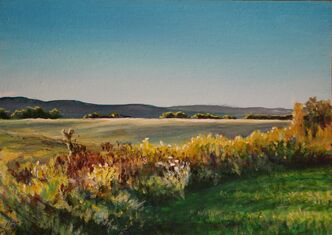 SunsetShadowsOnUplandPasture-795285