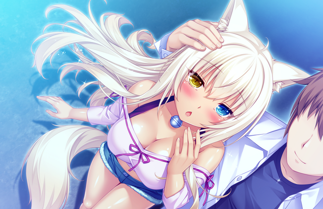 File:2016-02-21-812328.png