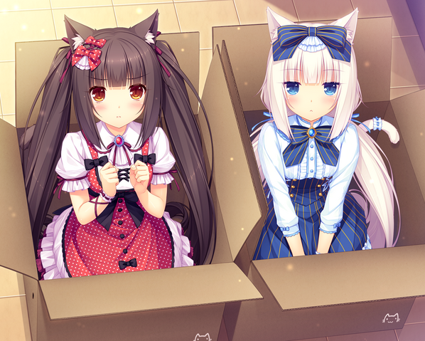 File:Vanilla and Chocola in Box.png